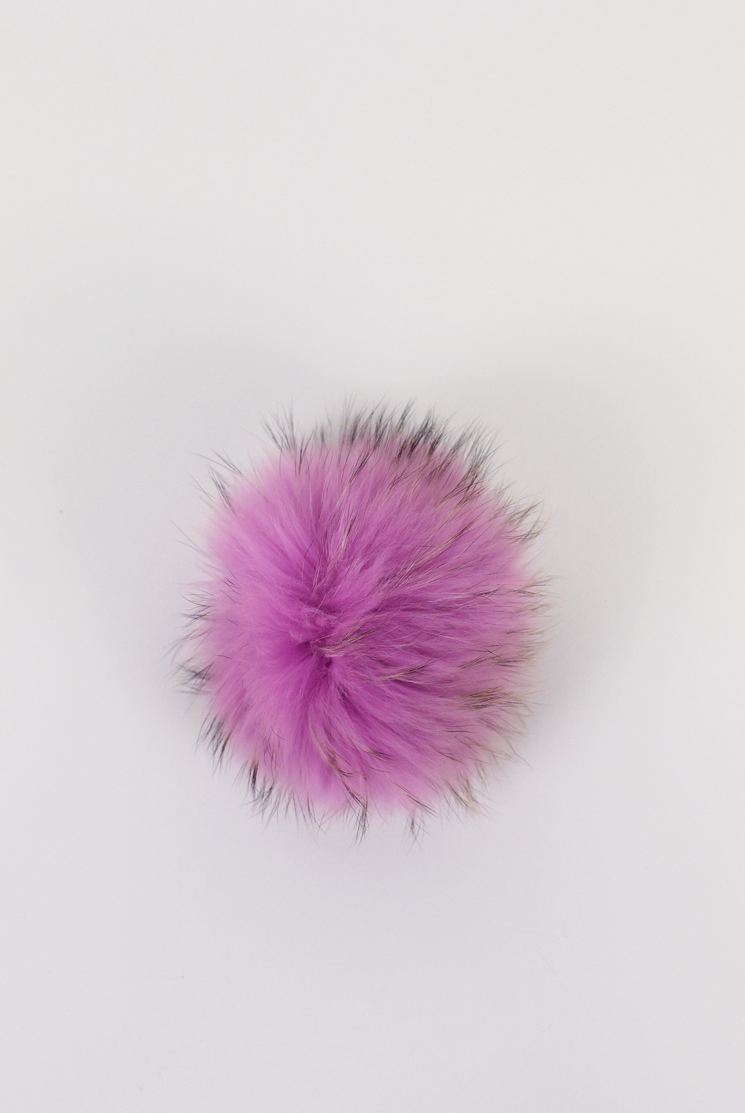 Raccoon Pom - Ultra Violet-Lindo F-Over the Rainbow