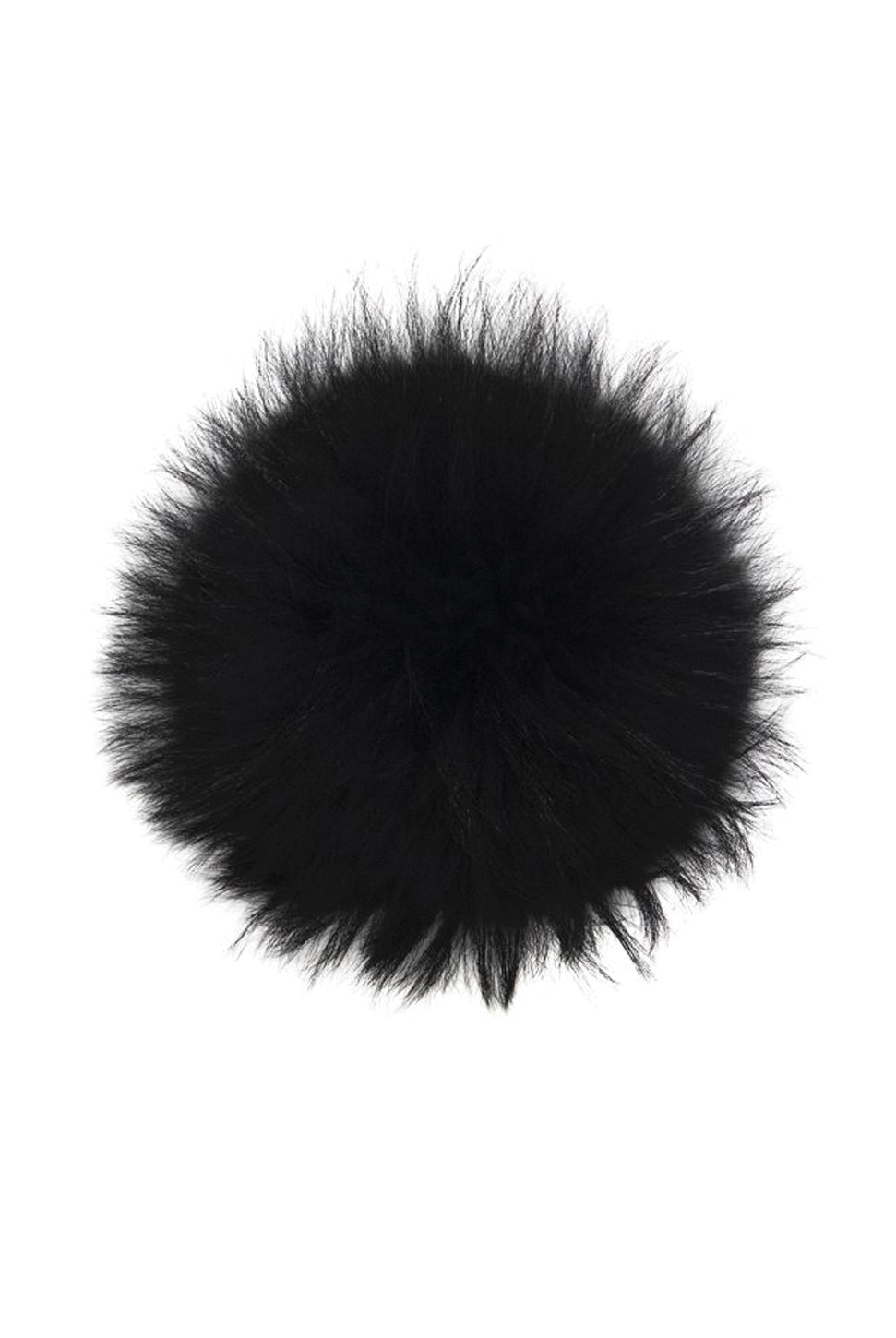 Raccoon Pom - Black-Lindo F-Over the Rainbow