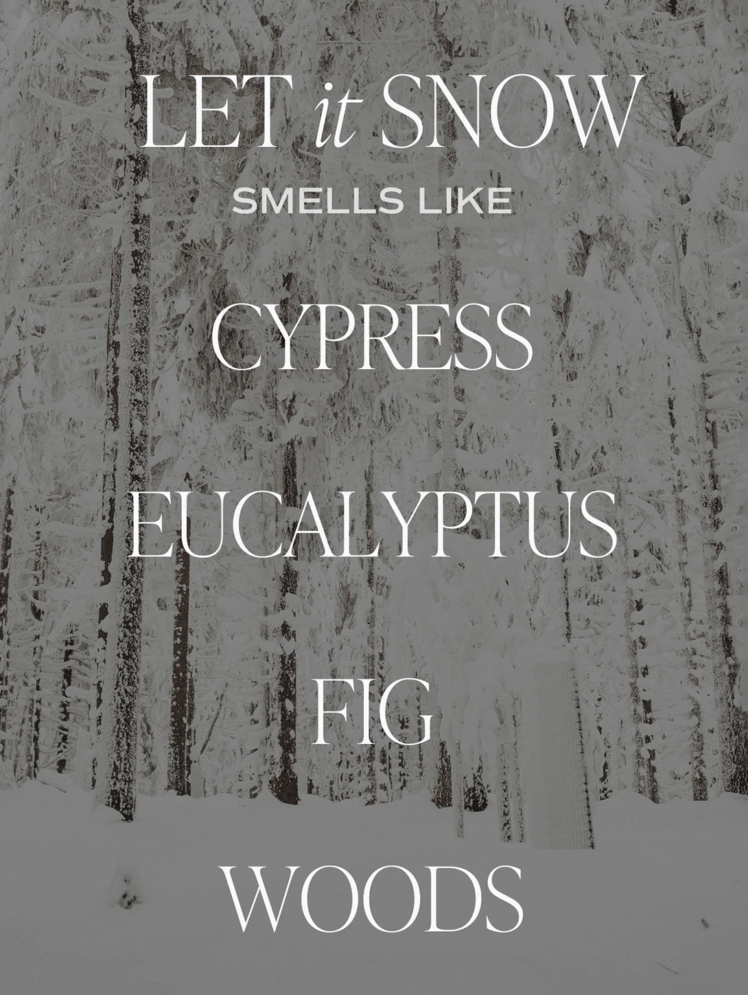 Matte Jar Soy Candle - Let It Snow-SWEET WATER DECOR-Over the Rainbow