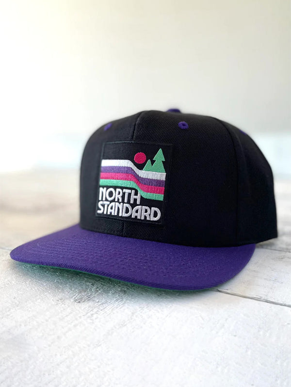 NSTP Snapback Waves Hat - Purple-North Standard Trading Post-Over the Rainbow