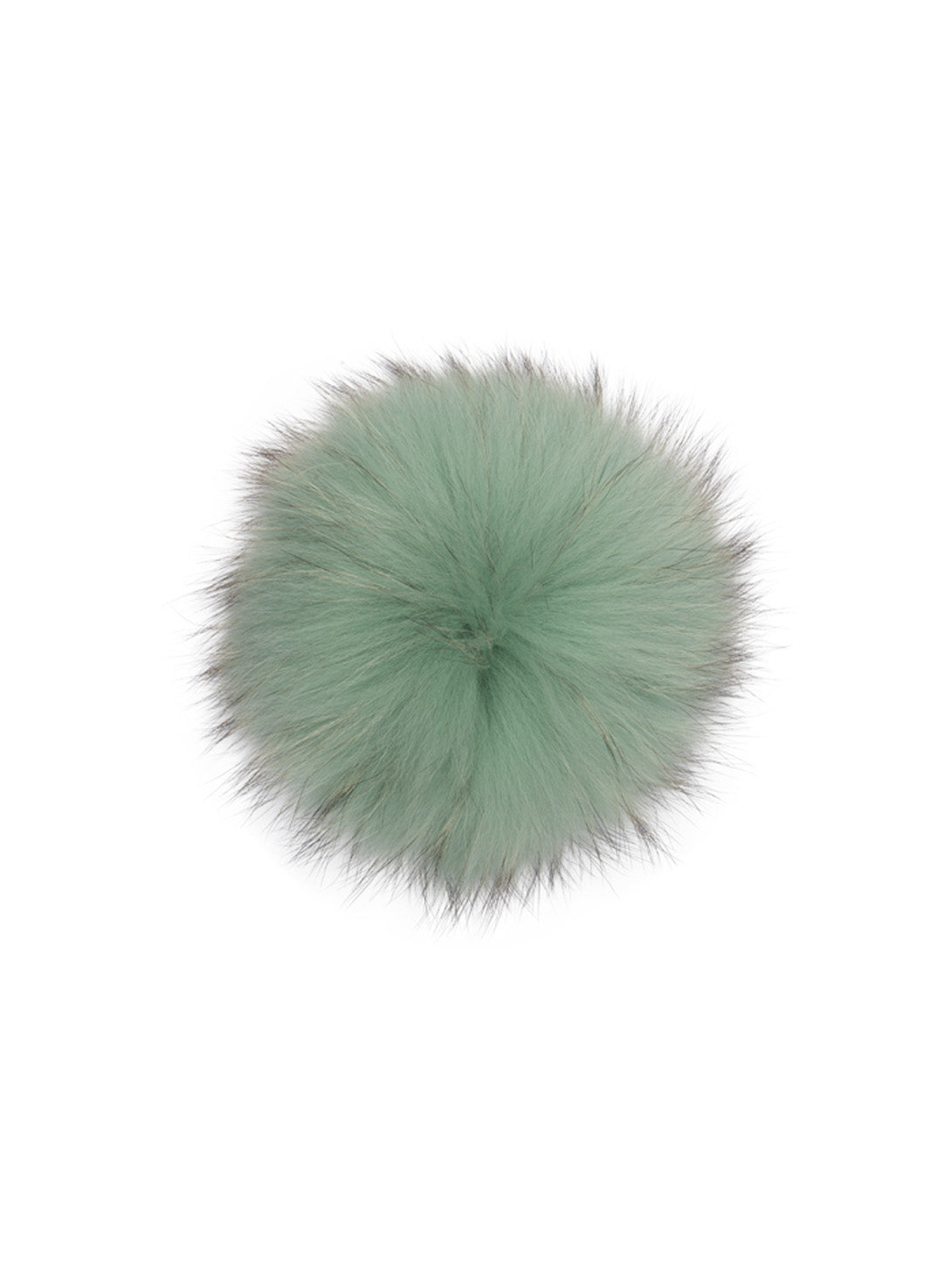 Raccoon Pom - Jade-Lindo F-Over the Rainbow