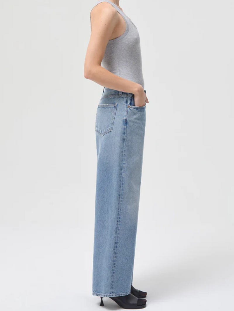 Low Slung Baggy Jean - Void-AGOLDE-Over the Rainbow